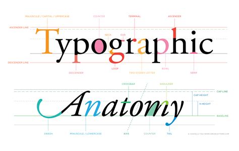 Typeface Anatomy