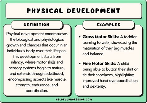 15 Physical Development Examples (2024)