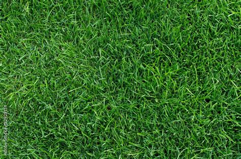 Stadium grass Stock Photo | Adobe Stock