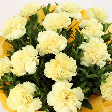 Online 15 Yellow Carnations Bouquet Medium Gift Delivery in Singapore - FNP