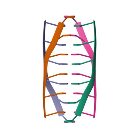 RCSB PDB - 225D: A TETRAMERIC DNA STRUCTURE WITH PROTONATED CYTOSINE ...