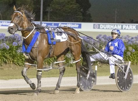 NZ Cup: Heads of state to collide in key prelude - Harness Racing Victoria