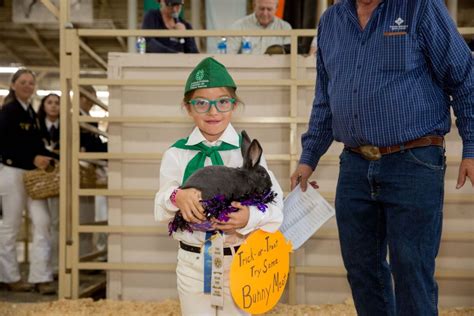 The Big Fresno Fair | Blog