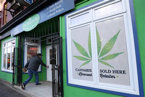 The Legal Cannabis Experiment Begins: The Canada Letter - The New York ...