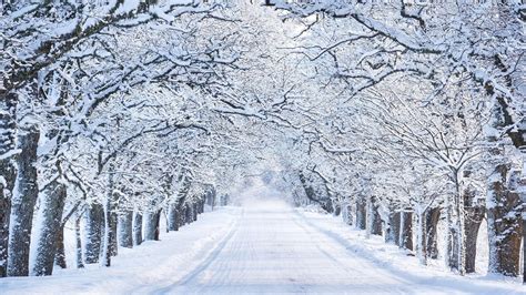 7 weird and wonderful things you didn't know about snow