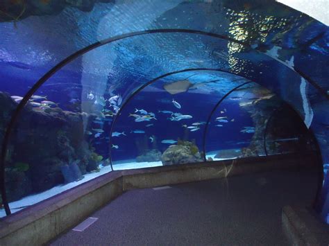 Henry Doorly Zoo in Omaha Nebraska – features the world’s largest ...