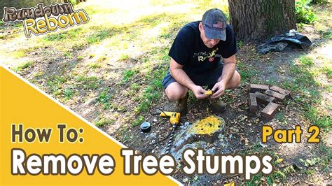 DIY: Easiest And Cheapest TREE STUMP REMOVAL - 3 Month Update! - YouTube