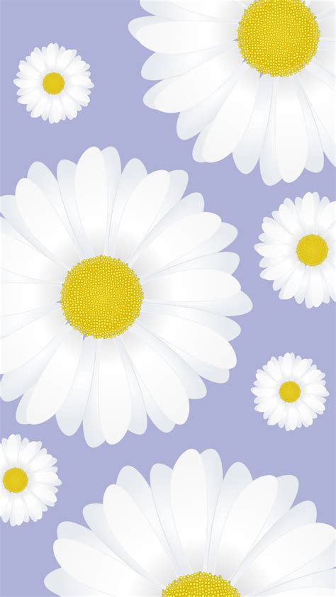 white daisy wallpaper | Sfondi, Margherite, Sfondi viola