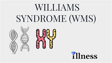 Williams Syndrome : Overview, Causes, Symptoms, Treatment - illness.com