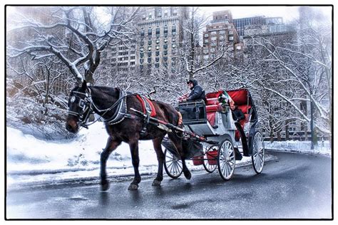 Winter Carriage Ride in Central Park...check Christmas Romance, New ...