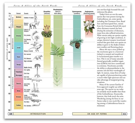 Page Layout with chart showing the evolution of plants