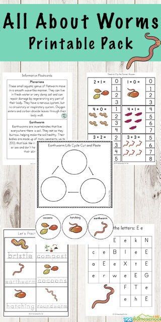 Worm Worksheets | Worms kindergarten, Worms preschool, Science activities for kids