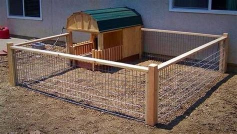 Outdoor Pen for Mini Pig. | Pig house, Mini pigs, Pet pigs