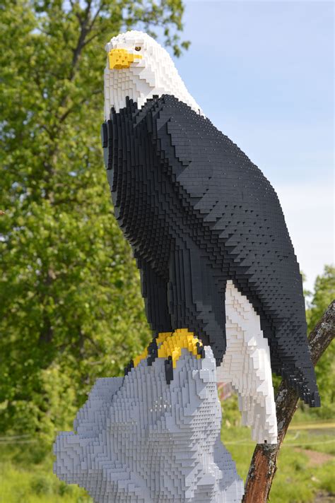 Lego Art Eagle at Powell Gardens in Missouri Legos, Big Lego, Lego Videos, Lego Animals, Lego ...