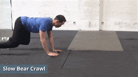 Bear Crawl Workout | EOUA Blog