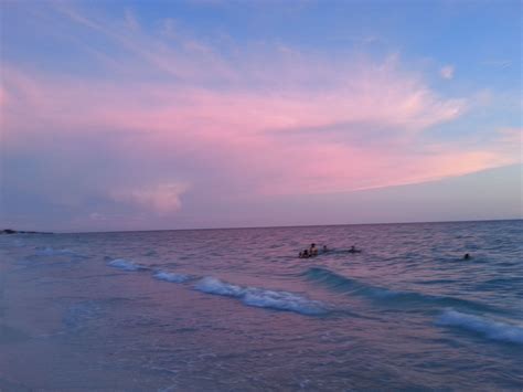 Manatee Beach | Manatee county, Beach, Manatee