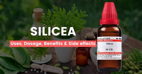 Silicea 30, 200, 1M Best Uses, Benefits & Side Effects