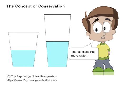 The Concept of Conservation - The Psychology Notes Headquarters