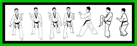 TaeKwonDo Form Dissection - TKD Essentials