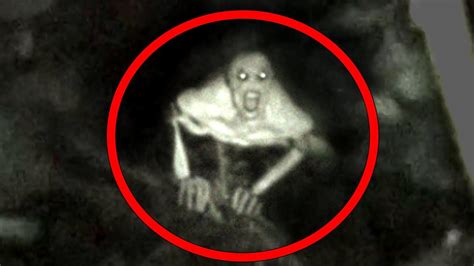 Creepy Creatures Caught On Tape