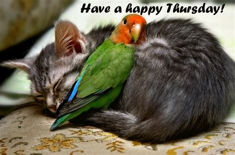 HAPPY THURSDAY! | kjaggers.com