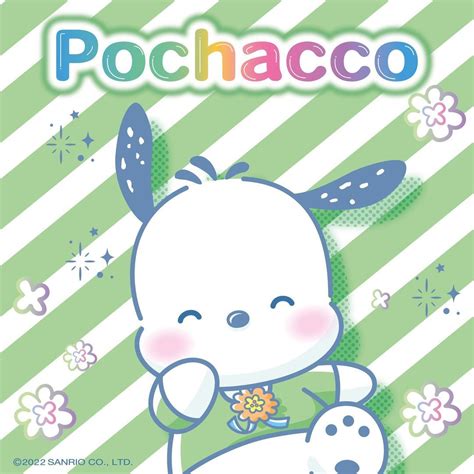 Hello Kitty & Friends on Instagram: “Is Pochacco your favourite Hello ...