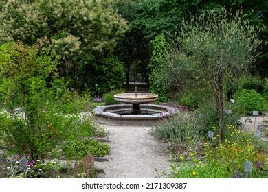 364 Padova Botanical Garden Images, Stock Photos & Vectors | Shutterstock