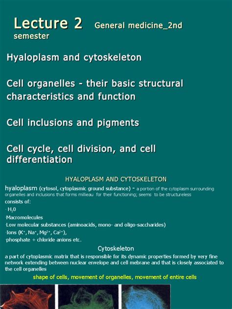 Hyaloplasm and c ytoskeleton Cell organelles - their basic structural characteristics and ...