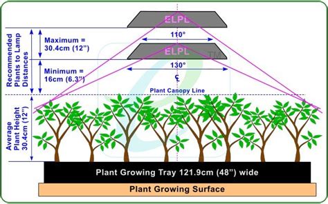 Led Grow Light Distance Chart - Medical Marijuana ZoneMedical Marijuana ...