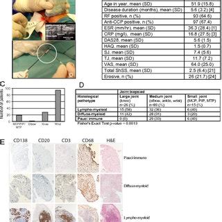 (A) Heatmap of NanoString gene expression data. Raw log 2 NanoString... | Download Scientific ...