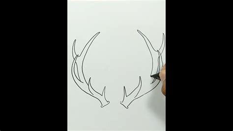 Reindeer Antlers Drawing