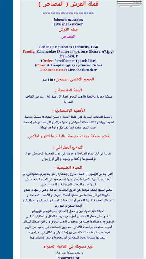 شبكة هواة صيدالأسماك on Twitter: "معلومة اليوم سمكة الريمورا او قملة القرش تتواجد فى البحار ...