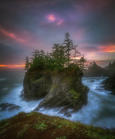 Sea stack with trees of Oregon coast Photograph by William Lee - Pixels