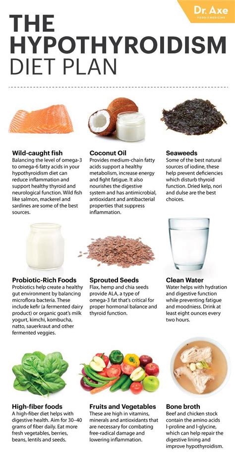 Pin on Best Fat Burning Foods