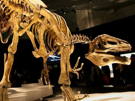 Scientists Unearth Clues to Megaraptor Mystery With New Dinosaur ...