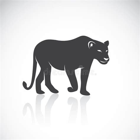 Vector Image of an Female Lion Stock Vector - Illustration of carnivore ...