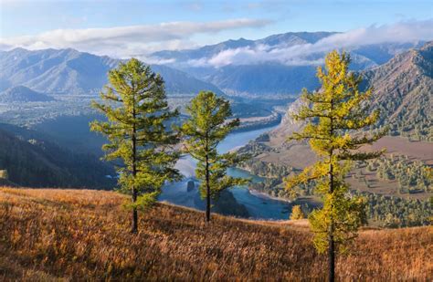 Altai Republic Mountains