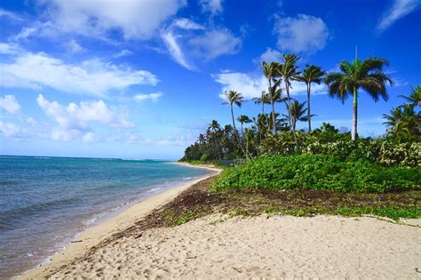 The 8 Best Beaches In Honolulu To Visit This Summer