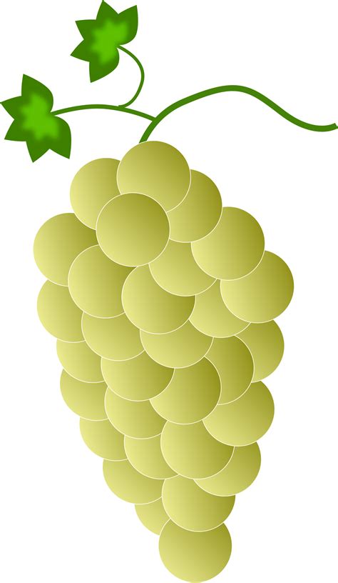 cartoon grapes clipart - Clip Art Library