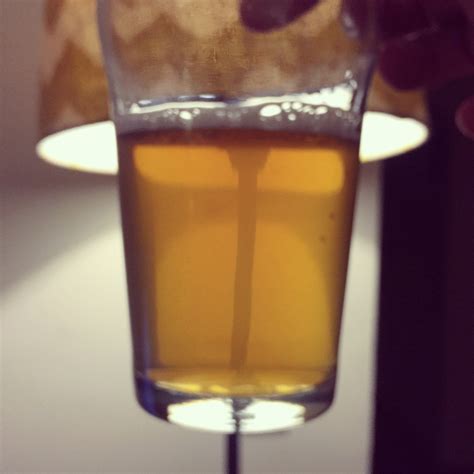 Decoction Experiment Results — Brewminaries