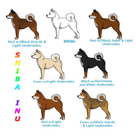 Shiba Inu Color Chart for FP by simplyalise on DeviantArt