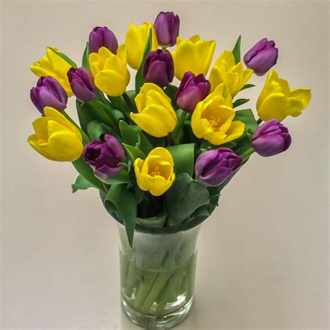 Purple & Yellow Tulips: Fresh Flowers: Tulips.com