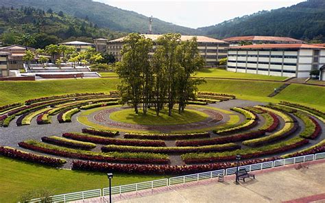 La Universidad Simón Bolívar abre la carrera de Economía - Analitica.com