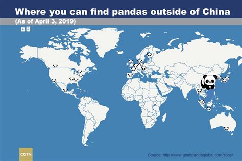 How Many Pandas Does The Memphis Zoo Have at Thomas Wasinger blog