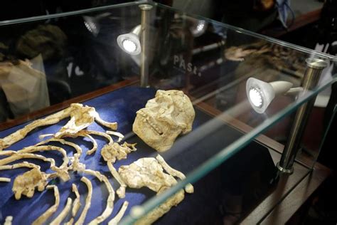 Skeleton dubbed Little Foot is most complete set of ancient remains ...