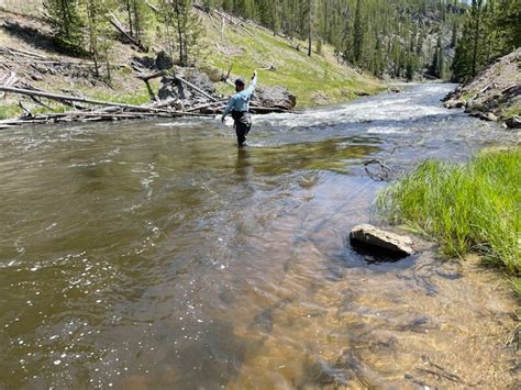 Yellowstone Fishing Season Opens May 27, 2023! — Yellowstone River Outfitters