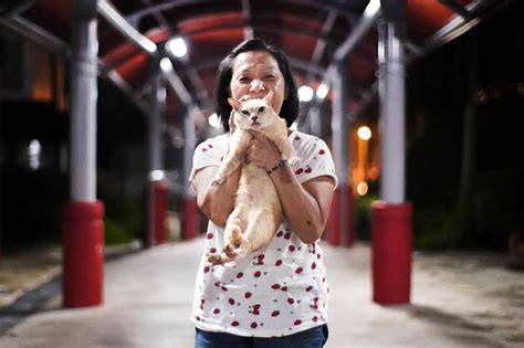 12 Animal Shelters To Volunteer At In Singapore Even If Cleaning Poop ...