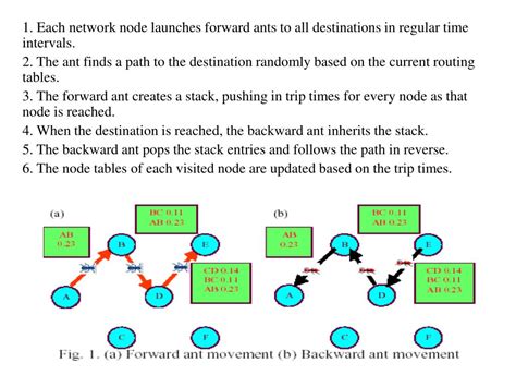 PPT - Swarm Computing & Routing Algorithms PowerPoint Presentation - ID:797877