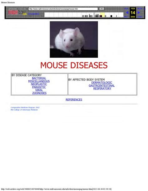 small Mouse diseases