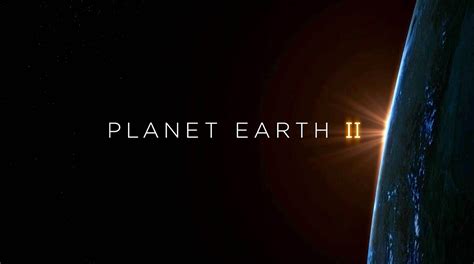 BBC's "Planet Earth II" Series (narrated by David Attenborough) — Tools and Toys